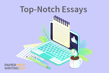 Twenty Top Words and Phrases for a Great Essay - paperhelpwriting